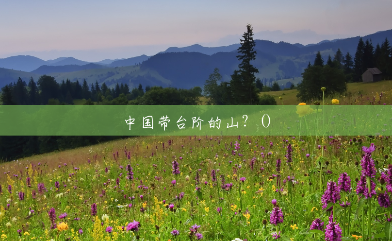 中国带台阶的山？()