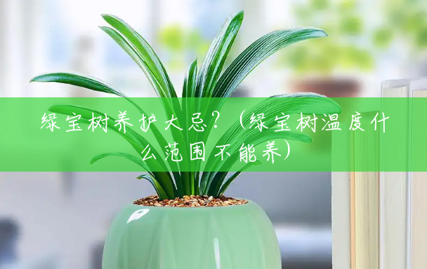 绿宝树养护大忌?(绿宝树温度什么范围不能养) 绿宝树养护大忌?(绿宝树温度什么范围不能养)