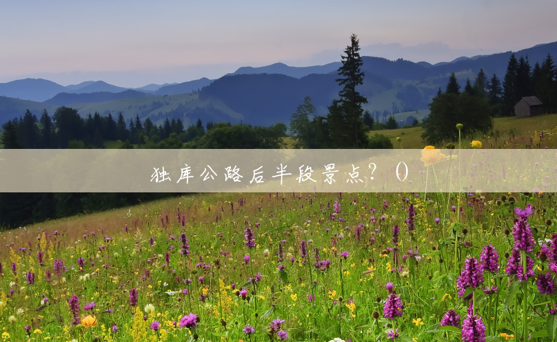 独库公路后半段景点?() 独库公路后半段景点?()
