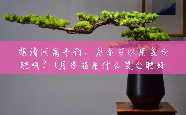 想请问高手们,月季可以用复合肥吗?(月季花用什么复合肥好呢) 想请问高手们,月季可以用复合肥吗?(月季花用什么复合肥好呢)