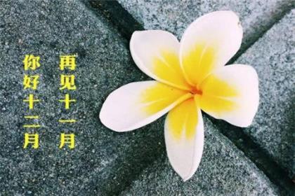 中秋国庆创意短信