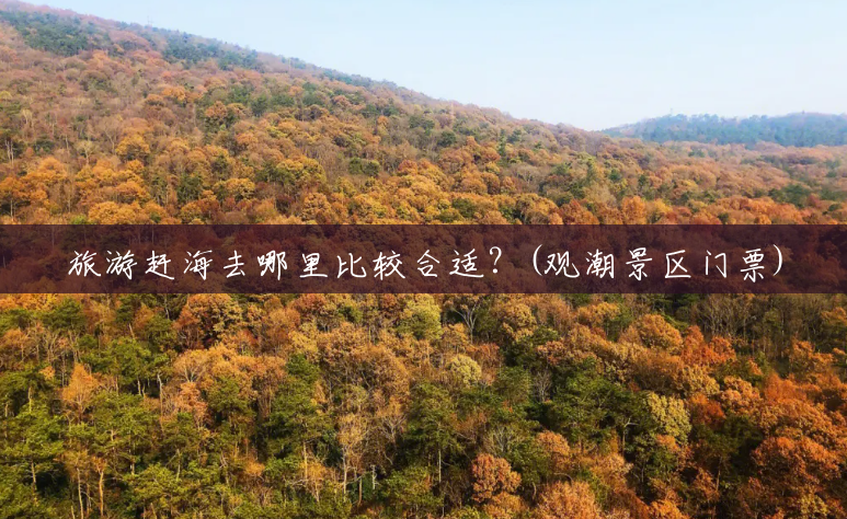 旅游赶海去哪里比较合适？(观潮景区门票)