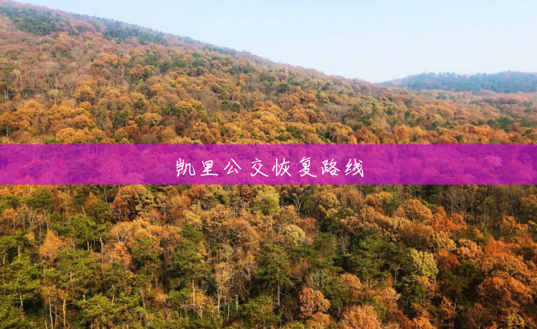 凯里公交恢复路线