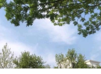 青岛往事经典语录