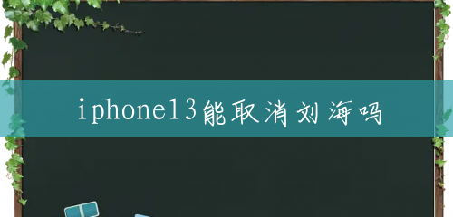 iphone13能取消刘海吗