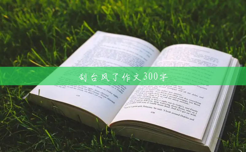 刮台风了作文300字