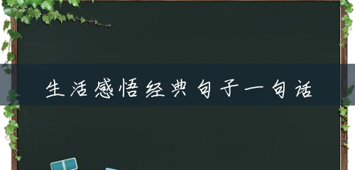 生活感悟经典句子一句话 生活感悟经典句子一句话