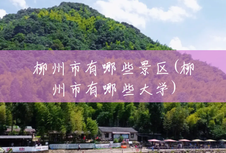 柳州市有哪些景区(柳州市有哪些大学)