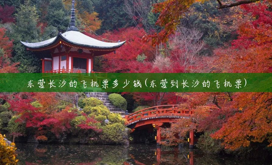 东营长沙的飞机票多少钱(东营到长沙的飞机票) 东营长沙的飞机票多少钱(东营到长沙的飞机票)
