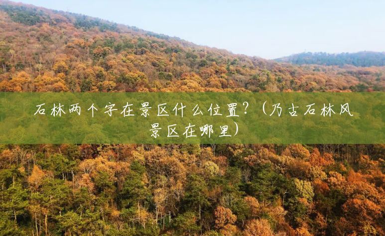 石林两个字在景区什么位置?(乃古石林风景区在哪里) 石林两个字在景区什么位置?(乃古石林风景区在哪里)