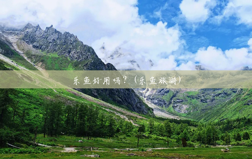 乐鱼好用吗？(乐鱼旅游)
