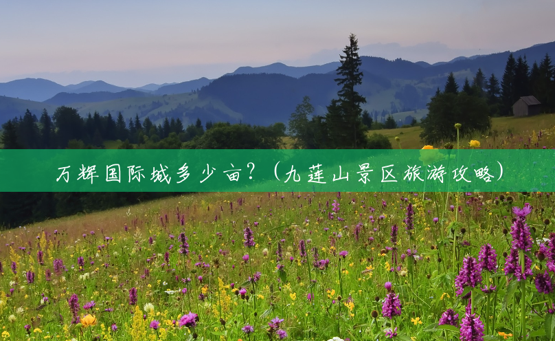 万辉国际城多少亩?(九莲山景区旅游攻略) 万辉国际城多少亩?(九莲山景区旅游攻略)