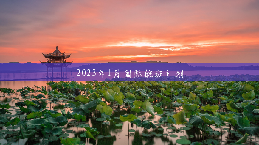 2023年1月国际航班计划 2023年1月国际航班计划