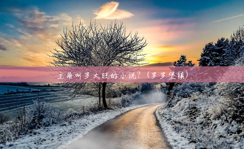 主角叫罗大旺的小说？(罗罗堡镇)