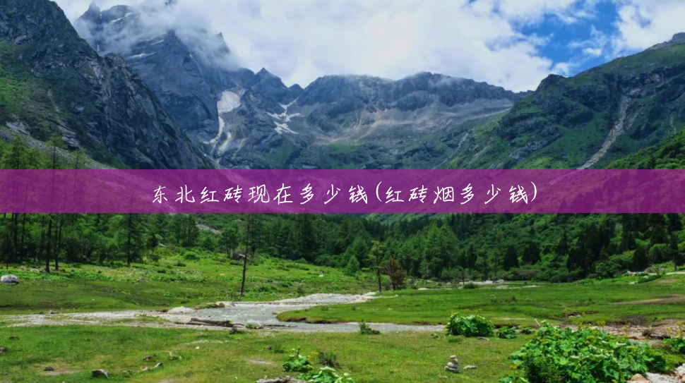 东北红砖现在多少钱(红砖烟多少钱)