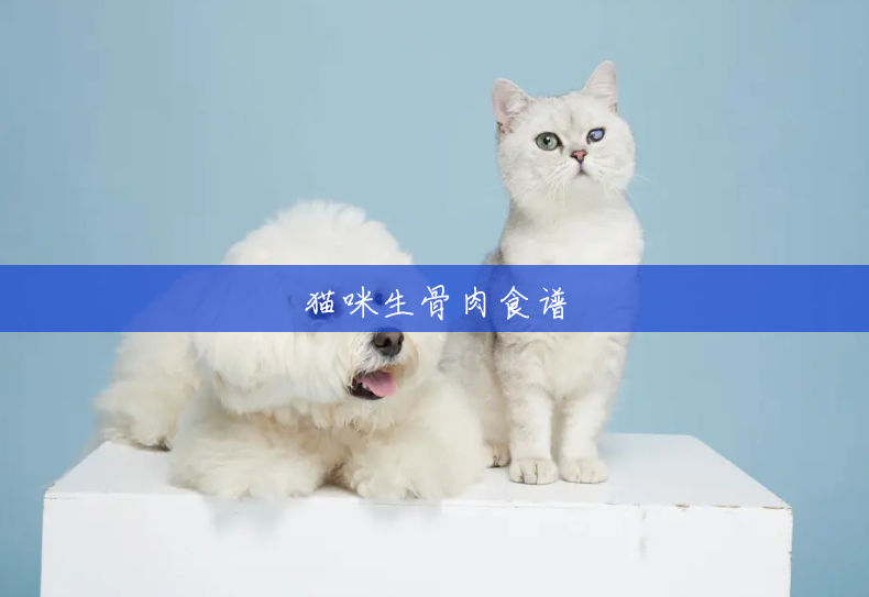 猫咪生骨肉食谱 猫咪生骨肉食谱