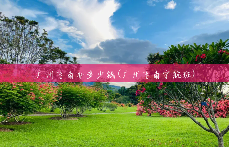 广州飞南非多少钱(广州飞南宁航班) 广州飞南非多少钱(广州飞南宁航班)