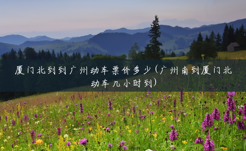 厦门北到到广州动车票价多少(广州南到厦门北动车几小时到) 厦门北到到广州动车票价多少(广州南到厦门北动车几小时到)