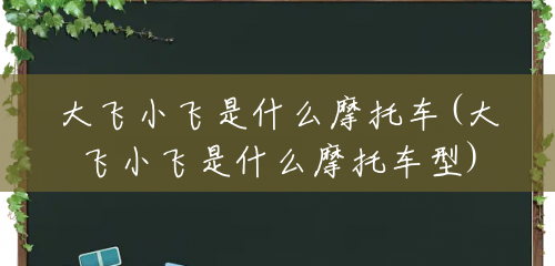 大飞小飞是什么摩托车(大飞小飞是什么摩托车型)