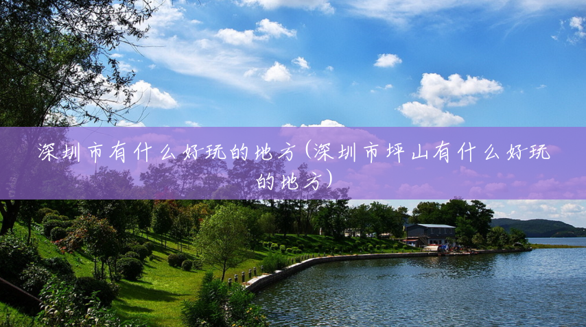 深圳市有什么好玩的地方(深圳市坪山有什么好玩的地方)