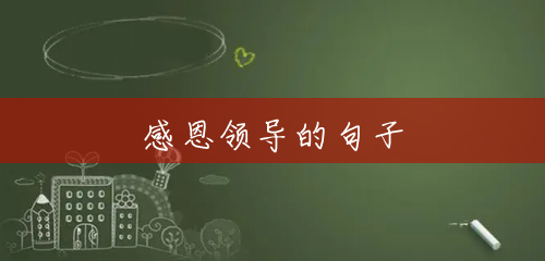 感恩领导的句子