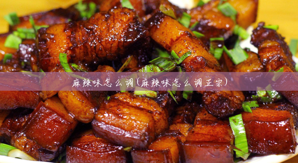 麻辣味怎么调(麻辣味怎么调正宗) 麻辣味怎么调(麻辣味怎么调正宗)