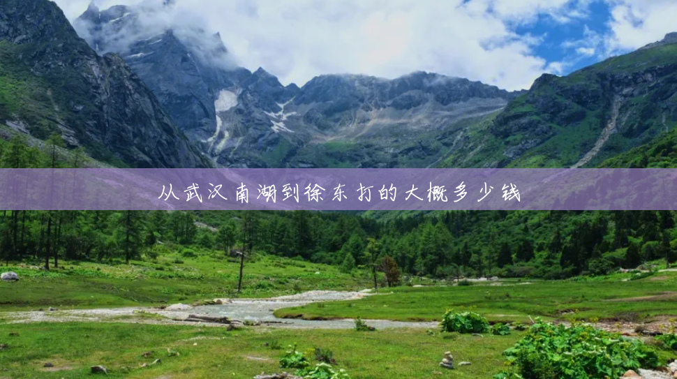 从武汉南湖到徐东打的大概多少钱 从武汉南湖到徐东打的大概多少钱