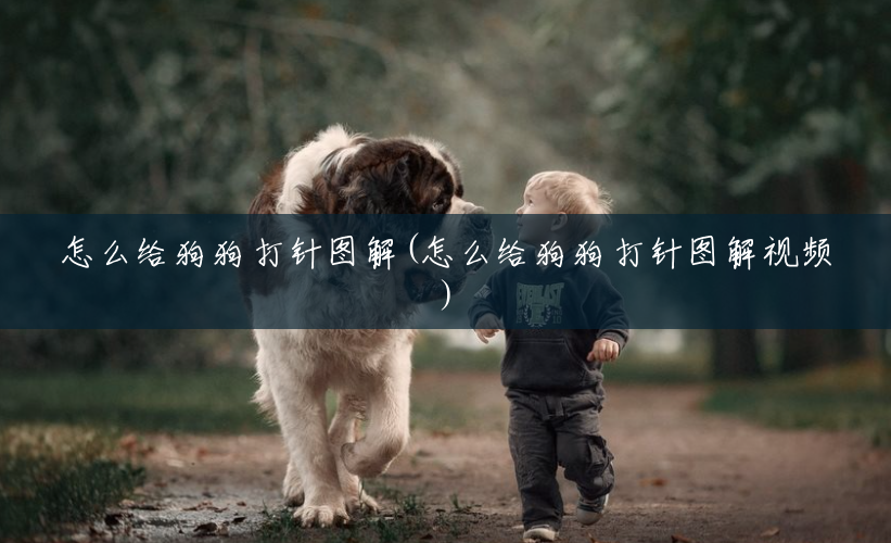 怎么给狗狗打针图解(怎么给狗狗打针图解视频) 怎么给狗狗打针图解(怎么给狗狗打针图解视频)