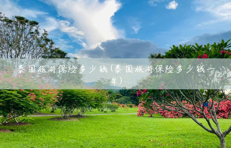 泰国旅游保险多少钱(泰国旅游保险多少钱一年)