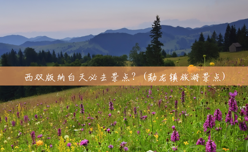 西双版纳白天必去景点?(勐龙镇旅游景点) 西双版纳白天必去景点?(勐龙镇旅游景点)