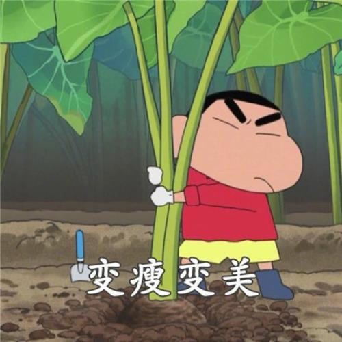 新年祝福亲人的话语