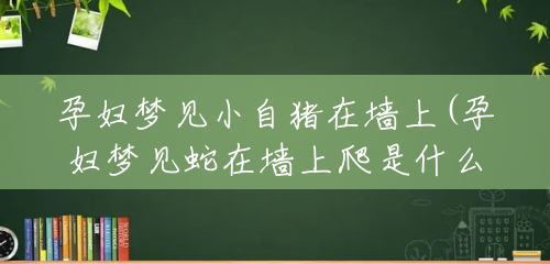 孕妇梦见小自猪在墙上(孕妇梦见蛇在墙上爬是什么意思啊) 孕妇梦见小自猪在墙上(孕妇梦见蛇在墙上爬是什么意思啊)
