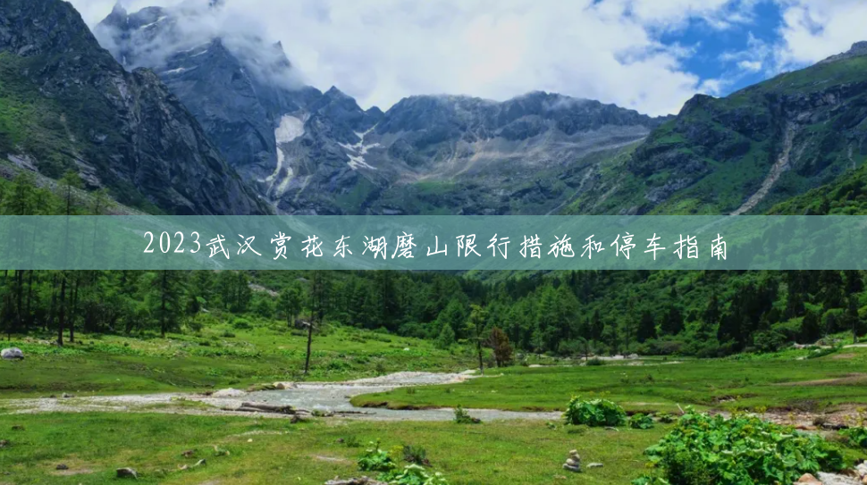 2023武汉赏花东湖磨山限行措施和停车指南