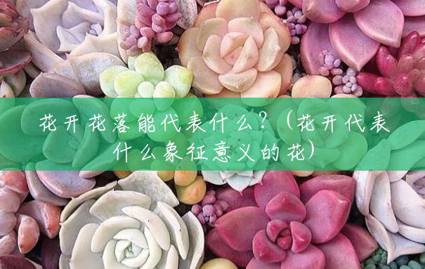 花开花落能代表什么?(花开代表什么象征意义的花) 花开花落能代表什么?(花开代表什么象征意义的花)