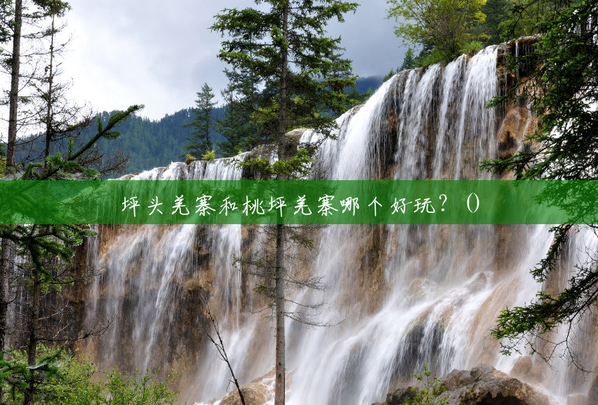 坪头羌寨和桃坪羌寨哪个好玩?() 坪头羌寨和桃坪羌寨哪个好玩?()