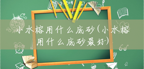 小水榕用什么底砂(小水榕用什么底砂最好)