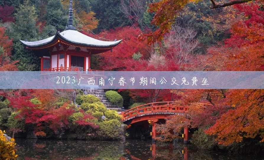 2023广西南宁春节期间公交免费坐 2023广西南宁春节期间公交免费坐
