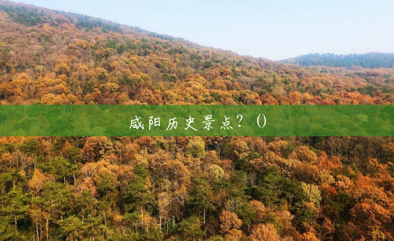 咸阳历史景点？()