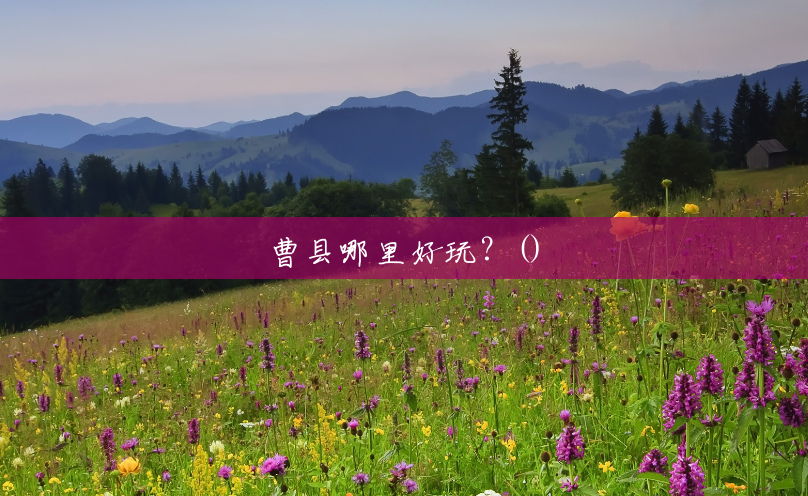 曹县哪里好玩?() 曹县哪里好玩?()