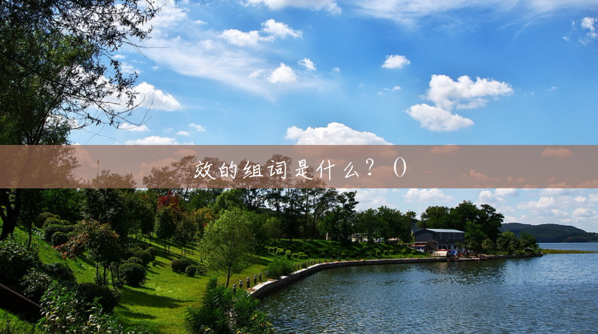 效的组词是什么?() 效的组词是什么?()