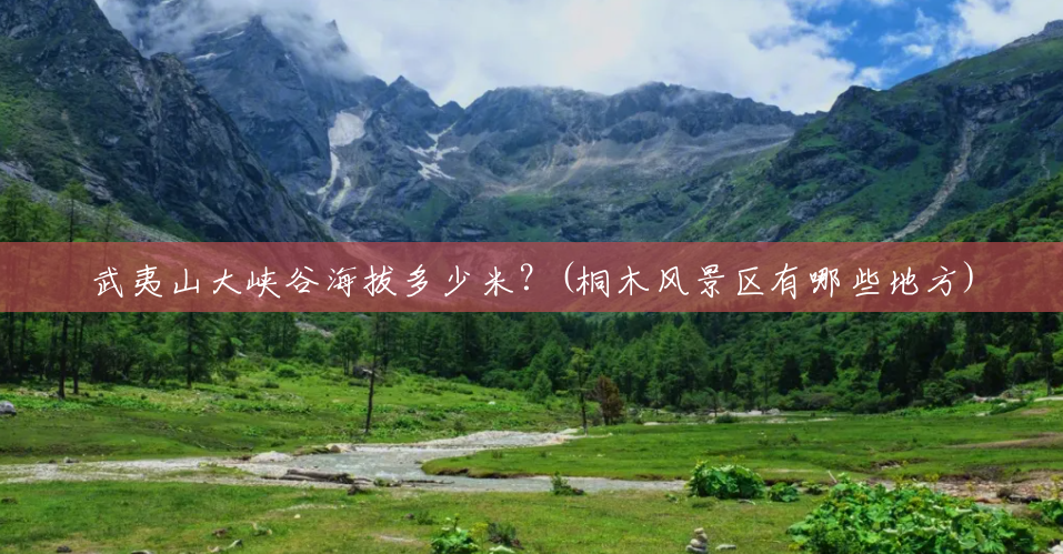 武夷山大峡谷海拔多少米?(桐木风景区有哪些地方) 武夷山大峡谷海拔多少米?(桐木风景区有哪些地方)
