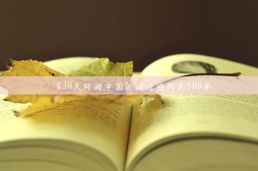 《30天环游中国》读后感作文500字