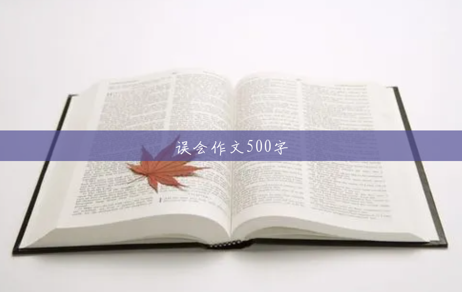 误会作文500字 误会作文500字