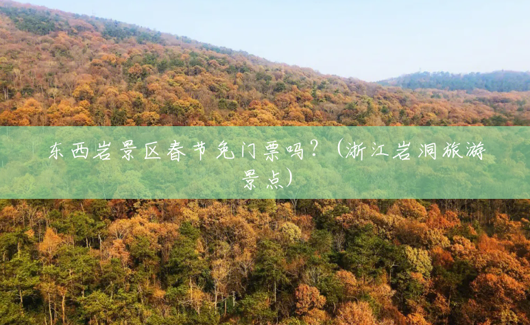 东西岩景区春节免门票吗？(浙江岩洞旅游景点)