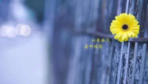 出差四字祝福语大全
