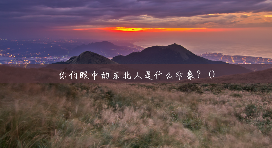 你们眼中的东北人是什么印象?() 你们眼中的东北人是什么印象?()