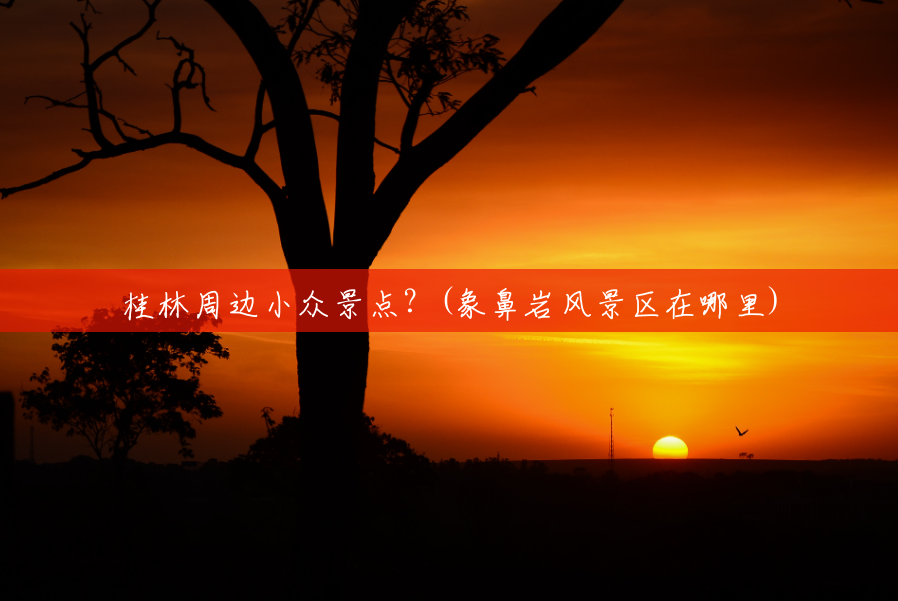 桂林周边小众景点?(象鼻岩风景区在哪里) 桂林周边小众景点?(象鼻岩风景区在哪里)