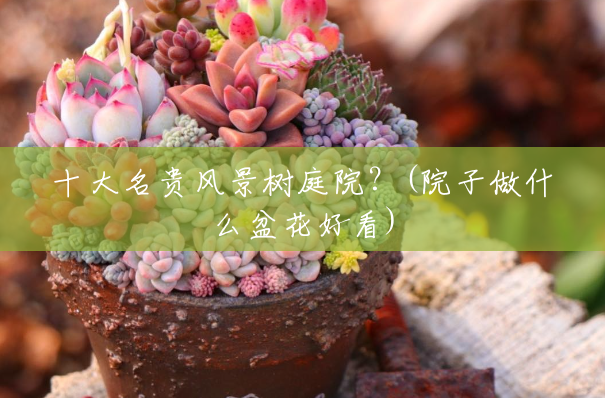 十大名贵风景树庭院?(院子做什么盆花好看) 十大名贵风景树庭院?(院子做什么盆花好看)