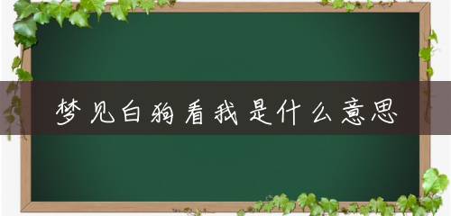 梦见白狗看我是什么意思 梦见白狗看我是什么意思