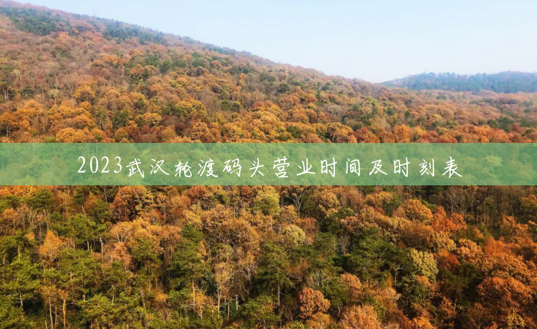 2023武汉轮渡码头营业时间及时刻表 2023武汉轮渡码头营业时间及时刻表